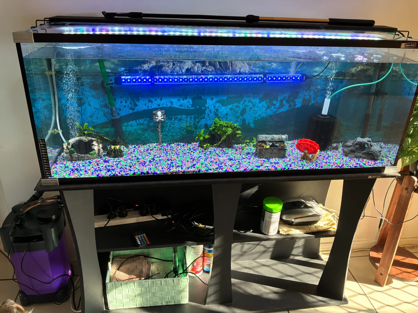 Large Aqua One Aquarium Setup with Stand, Filter & Lights — Fish Not Included photo 2