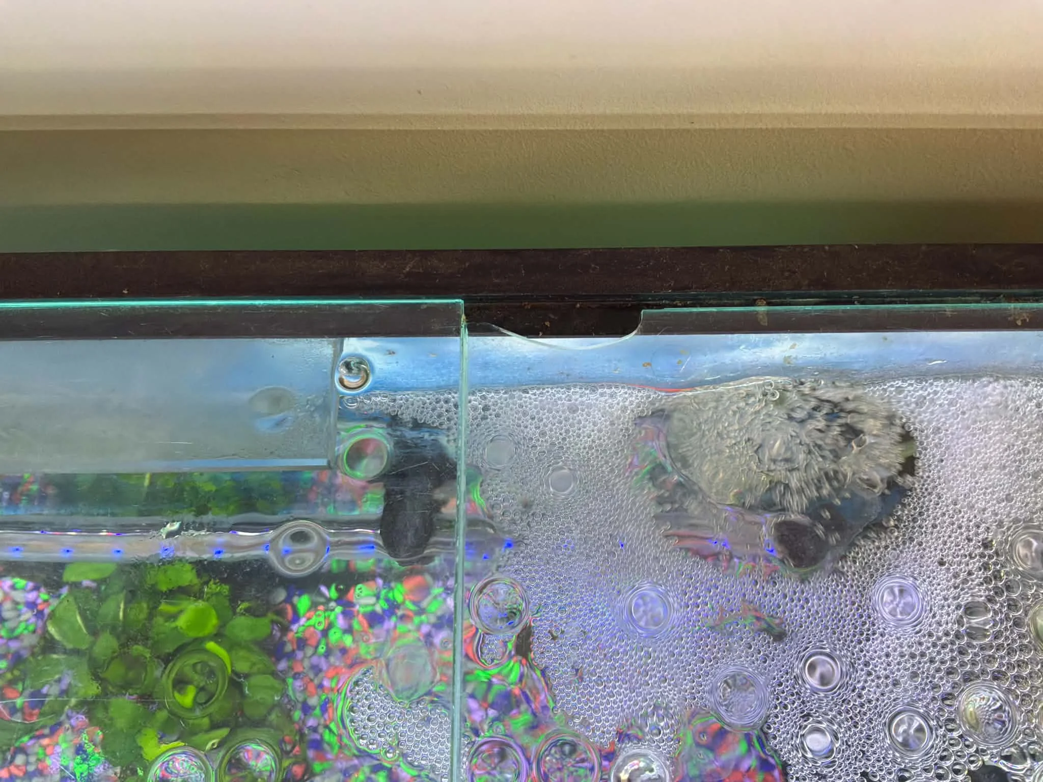 Large Aqua One Aquarium Setup with Stand, Filter & Lights — Fish Not Included photo 5