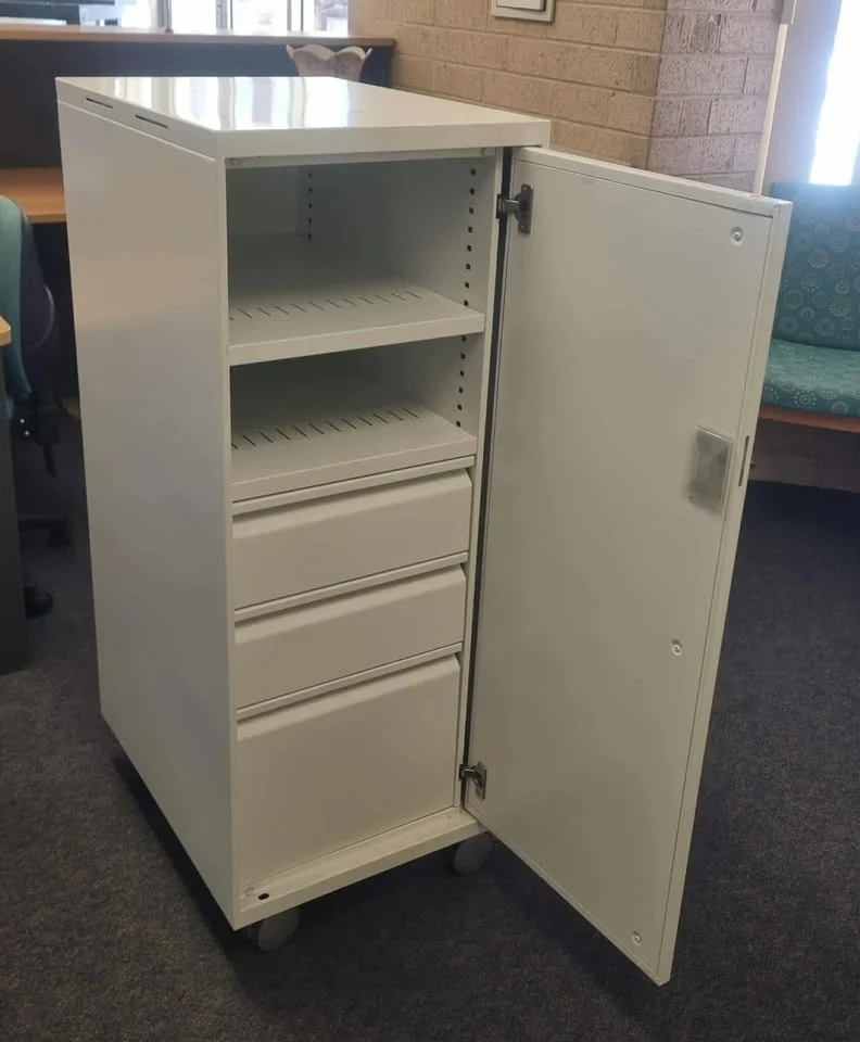 Perfect Metal Storage Unit, on wheels and lockable. 50+ Available. Reduced to Sell $150.